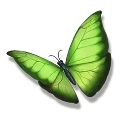 icon 5