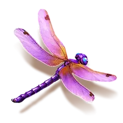 icon 6