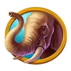 icon 3