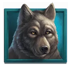 icon 4