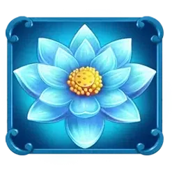 icon 5