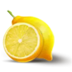 icon 10