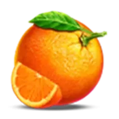 icon 9