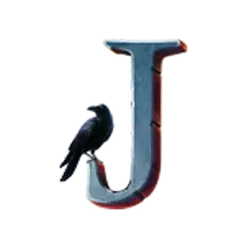 icon 9