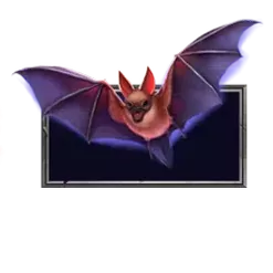 icon 5