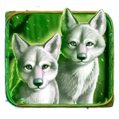 icon 4