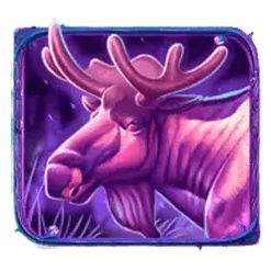 icon 3