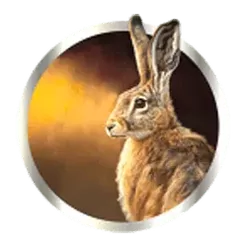 icon 4