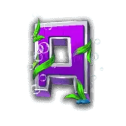 icon 6