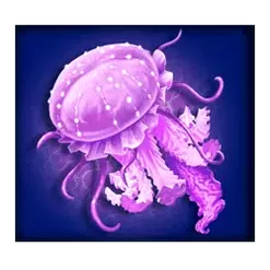 icon 4