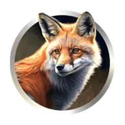 icon 5