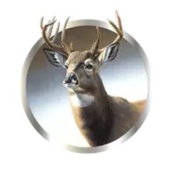 icon 6