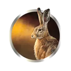 icon 4