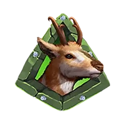icon 6