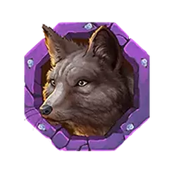 icon 5