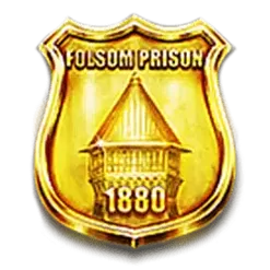 icon 13