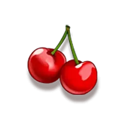 icon 5
