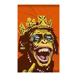 icon 4