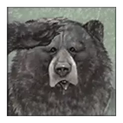 icon 5