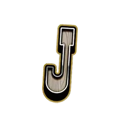 icon 10