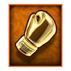 icon 5