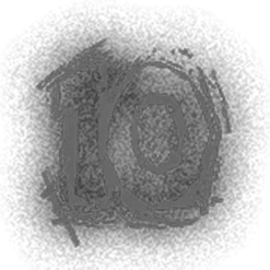 icon 10
