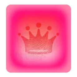 icon 1