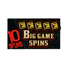 Bonus Buy Big Game Spins