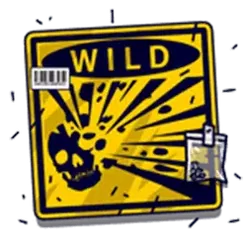 icon 10