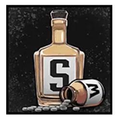 icon 13