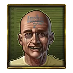 icon 5