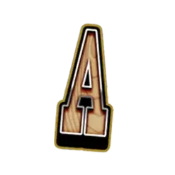 icon 6