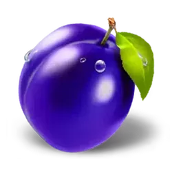 icon 9