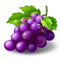 icon 4
