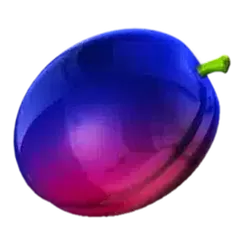 icon 5