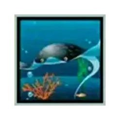 icon 4
