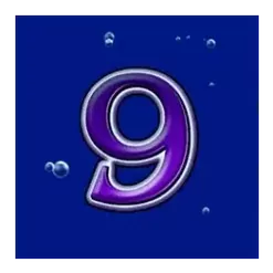 icon 13
