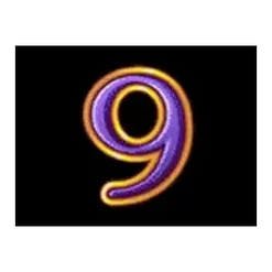 icon 13