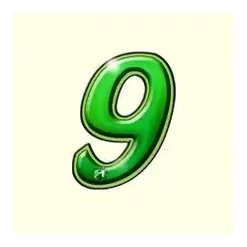 icon 13