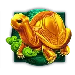 icon 6