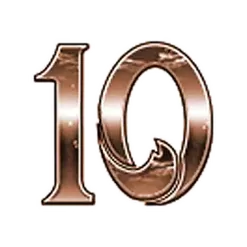 icon 10
