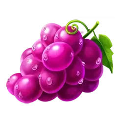 icon 3