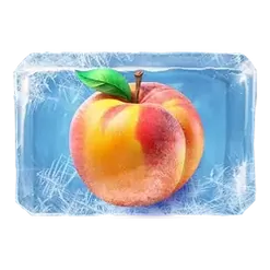 icon 4