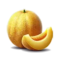 icon 6