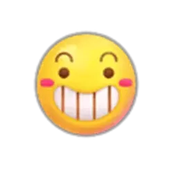 icon 3