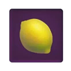 icon 5