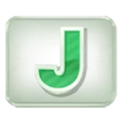 icon 10
