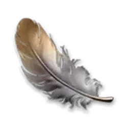 icon 5