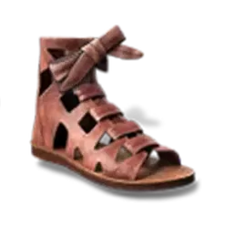 icon 5