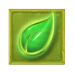 icon 6
